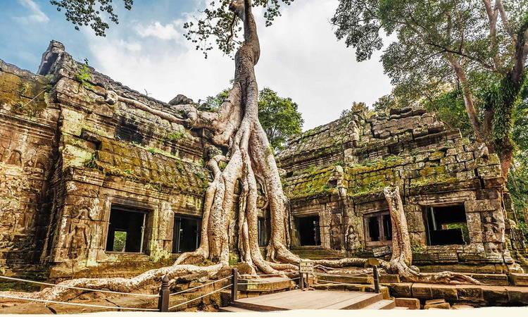 Ta Prohm Temple