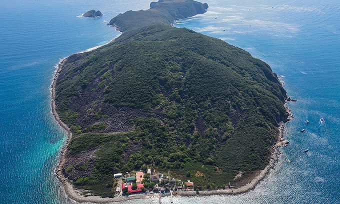 Nha Trang suspends diving tours in marine reserve to inspect coral reefs