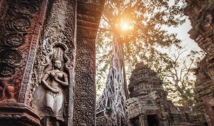 Ta Prohm in Cambodia