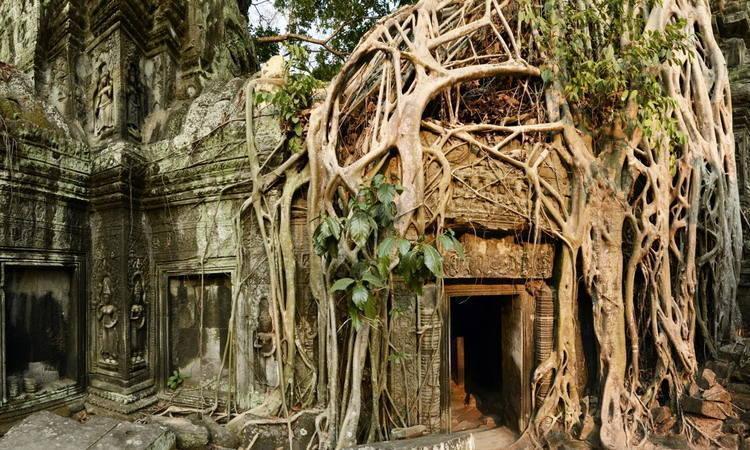 Ta Prohm Temple City Tour Siem Reap