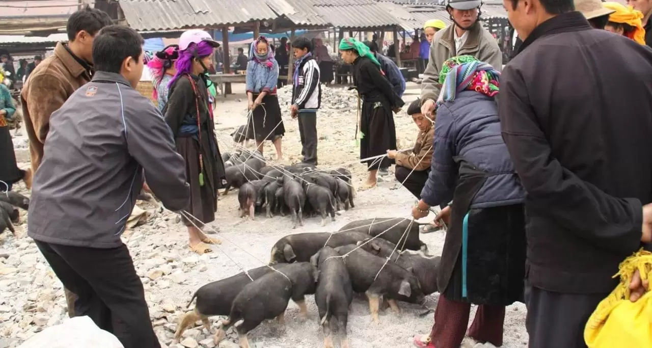 a market in Ba Be National Park