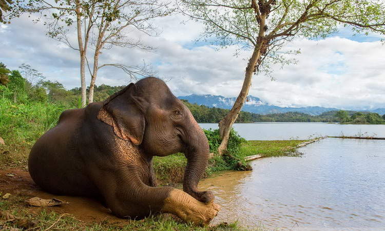 Laos Culture & Nature - 7 days