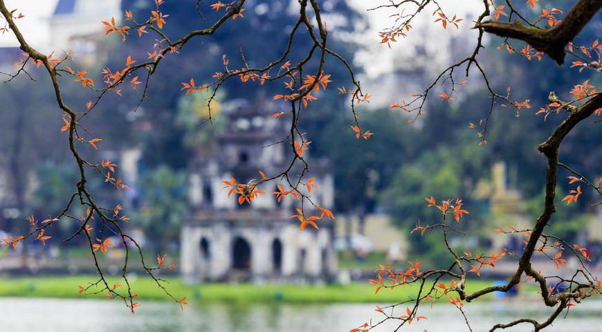 Vietnam Family Holidays - 14 days