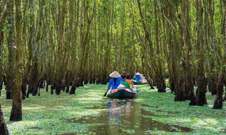 Cruise trip on Mekong river