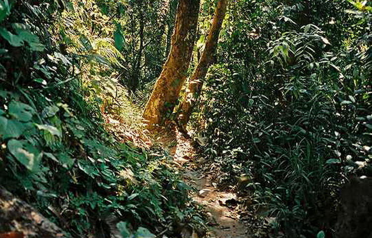 Authentic Laos Travel