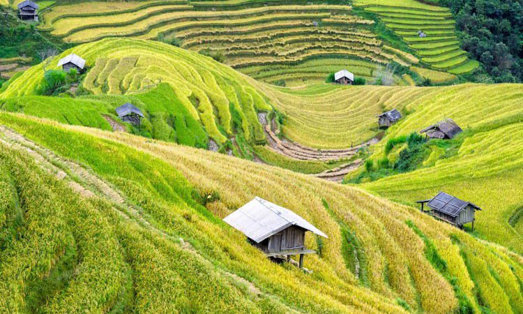 Sapa Full Day Trekking Tour