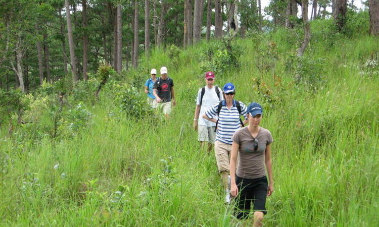 Indochina Treks Travel - A local Tour Operator for Indochina - Official site